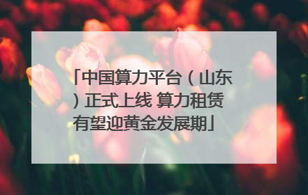 中国算力平台（山东）正式上线 算力租赁有望迎黄金发展期