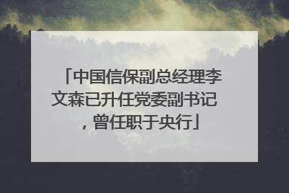 中国信保副总经理李文森已升任党委副书记，曾任职于央行