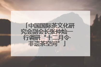 中国国际茶文化研究会副会长张仲灿一行调研“十二月令·非遗茶空间”