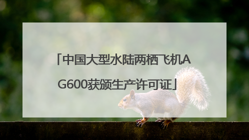 中国大型水陆两栖飞机AG600获颁生产许可证