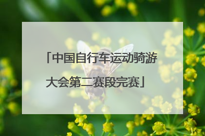中国自行车运动骑游大会第二赛段完赛