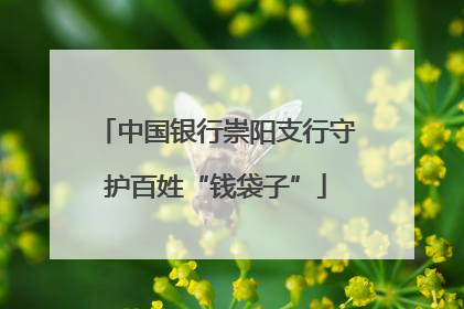 中国银行崇阳支行守护百姓“钱袋子”
