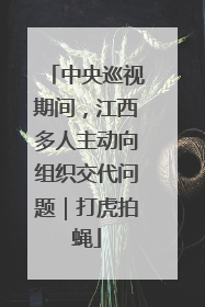 中央巡视期间，江西多人主动向组织交代问题｜打虎拍蝇