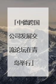 中德跨国公司发展交流论坛在青岛举行