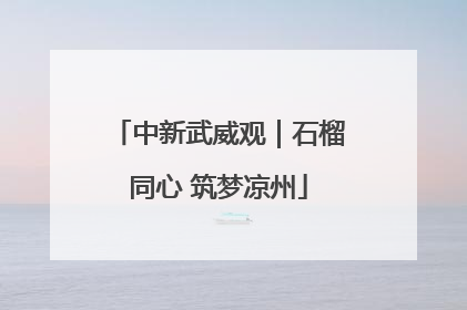 中新武威观｜石榴同心 筑梦凉州