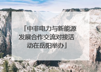 中非电力与新能源发展合作交流对接活动在岳阳举办