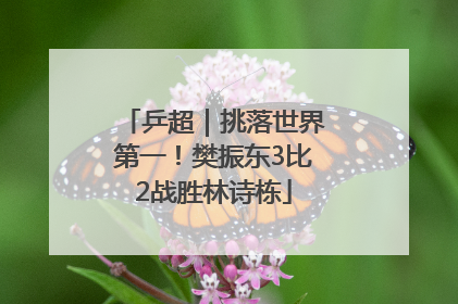 乒超｜挑落世界第一！樊振东3比2战胜林诗栋