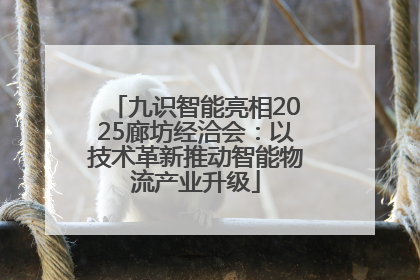 九识智能亮相2025廊坊经洽会：以技术革新推动智能物流产业升级
