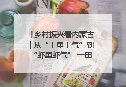 乡村振兴看内蒙古｜从“土里土气”到“虾里虾气” 一田双收模式火出圈