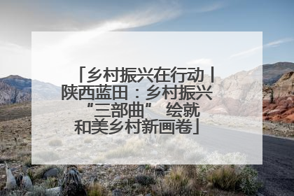 乡村振兴在行动丨陕西蓝田：乡村振兴 “三部曲” 绘就和美乡村新画卷