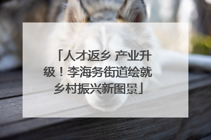 人才返乡 产业升级！李海务街道绘就乡村振兴新图景