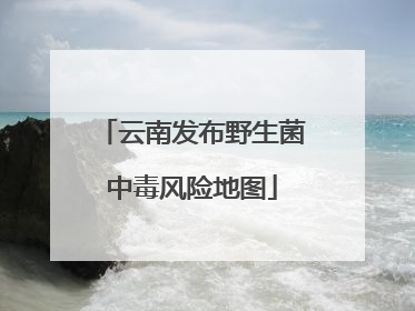 云南发布野生菌中毒风险地图