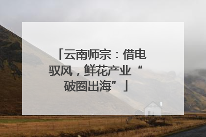 云南师宗：借电驭风，鲜花产业“破圈出海”