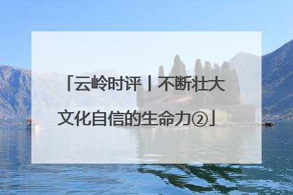 云岭时评丨不断壮大文化自信的生命力②