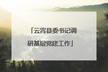 云霄县委书记调研基层党建工作