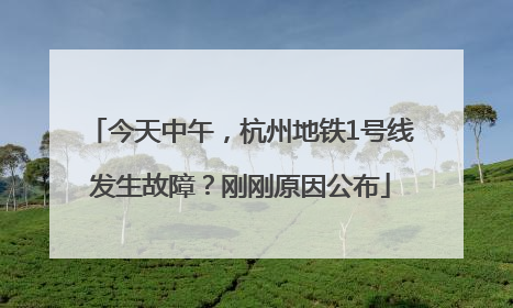 今天中午，杭州地铁1号线发生故障？刚刚原因公布