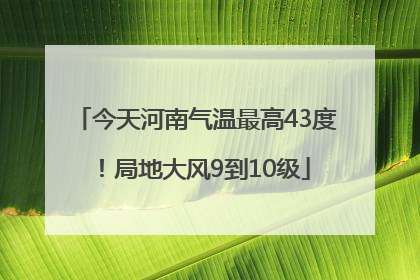 今天河南气温最高43度！局地大风9到10级