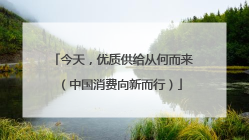 今天，优质供给从何而来（中国消费向新而行）