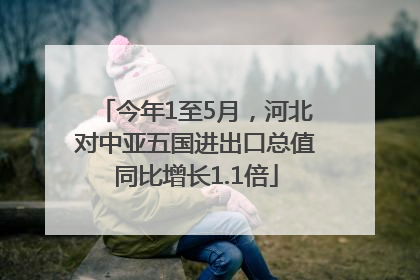 今年1至5月，河北对中亚五国进出口总值同比增长1.1倍