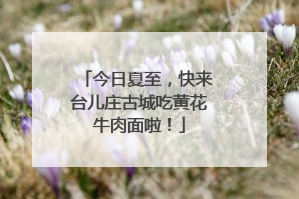 今日夏至，快来台儿庄古城吃黄花牛肉面啦！