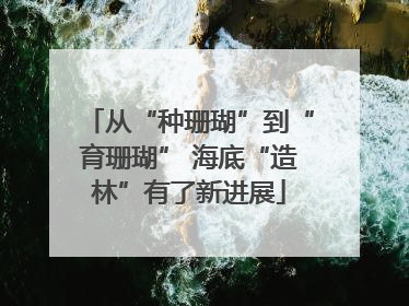 从“种珊瑚”到“育珊瑚” 海底“造林”有了新进展