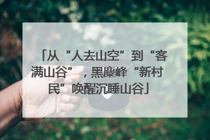 从“人去山空”到“客满山谷”，黑麋峰“新村民”唤醒沉睡山谷
