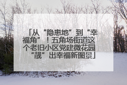 从“隐患地”到“幸福角”！五角场街道这个老旧小区党建微花园“靓”出幸福新图景