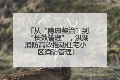 从“隐患整治”到“长效管理”，洪湖消防高效推动住宅小区消防管理