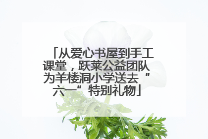 从爱心书屋到手工课堂，跃莱公益团队为羊楼洞小学送去“六一”特别礼物