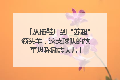 从拖鞋厂到“苏超”领头羊，这支球队的故事堪称励志大片