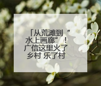 从荒滩到“水上画廊”！广信这里火了乡村 乐了村民（图）