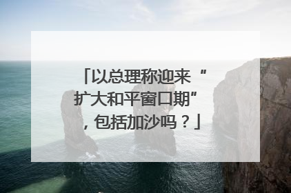 以总理称迎来“扩大和平窗口期”，包括加沙吗？