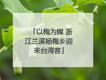 以梅为媒 浙江兰溪杨梅乡迎来台湾客