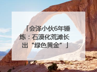 会泽小伙6年锤炼：石漠化荒滩长出“绿色黄金”