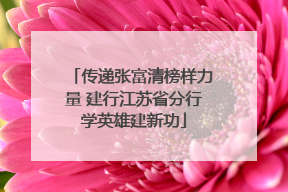 传递张富清榜样力量 建行江苏省分行学英雄建新功