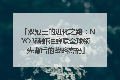 双冠王的进化之路：NYO3磷虾油蝉联全球领先背后的战略密码