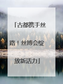 古都携手丝路！丝博会绽放新活力