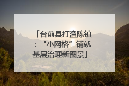 台前县打渔陈镇：“小网格”铺就基层治理新图景