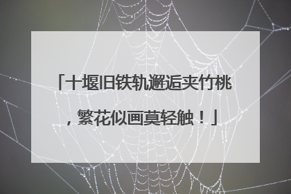 十堰旧铁轨邂逅夹竹桃，繁花似画莫轻触！
