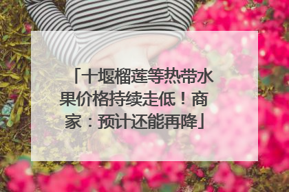 十堰榴莲等热带水果价格持续走低！商家：预计还能再降