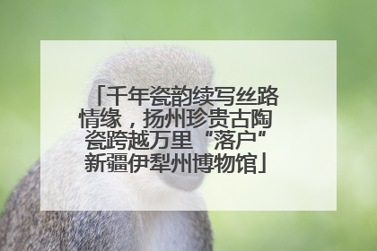 千年瓷韵续写丝路情缘，扬州珍贵古陶瓷跨越万里“落户”新疆伊犁州博物馆