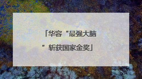 华容“最强大脑”斩获国家金奖