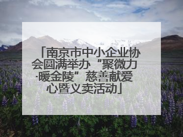 南京市中小企业协会圆满举办“聚微力·暖金陵”慈善献爱心暨义卖活动