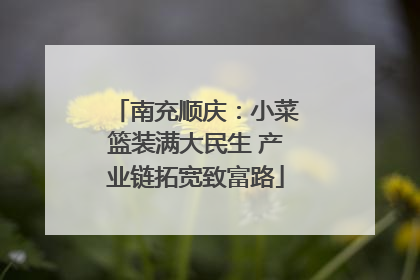 南充顺庆：小菜篮装满大民生 产业链拓宽致富路