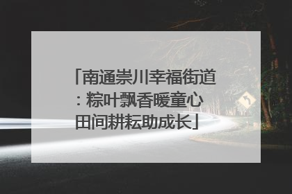 南通崇川幸福街道：粽叶飘香暖童心 田间耕耘助成长