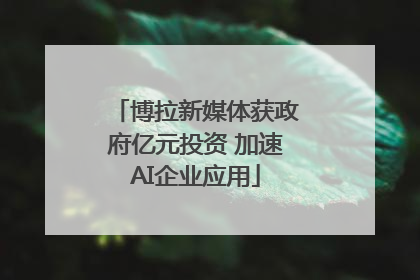博拉新媒体获政府亿元投资 加速AI企业应用