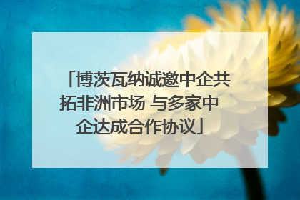 博茨瓦纳诚邀中企共拓非洲市场 与多家中企达成合作协议