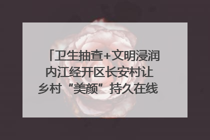 卫生抽查+文明浸润 内江经开区长安村让乡村“美颜”持久在线｜万千气象看四川