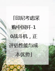 印尼考虑采购中国歼-10战斗机，正评估性能与成本优势