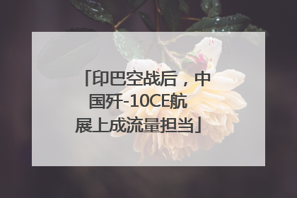 印巴空战后，中国歼-10CE航展上成流量担当